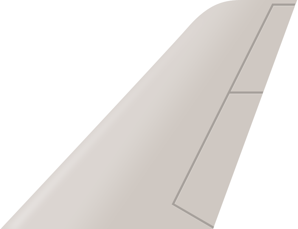Jetfly